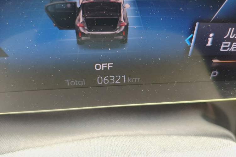 Used BMW 5 Series 2026 530Li Leading M Sport Package Odometer Close Up