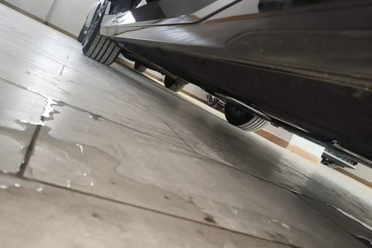 Used BMW 5 Series 2026 Facelift Model 530Li Leading Edition M Sport Package Right Side Sill