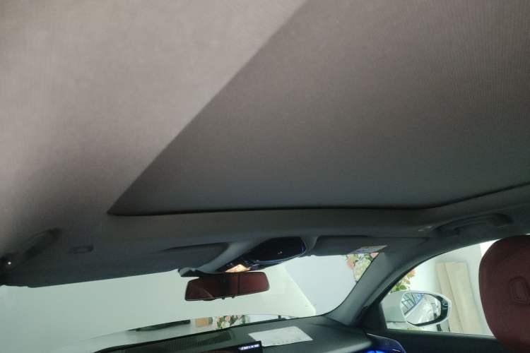 Used BMW 5 Series 2026 530Li Leading M Sport Package Headliner