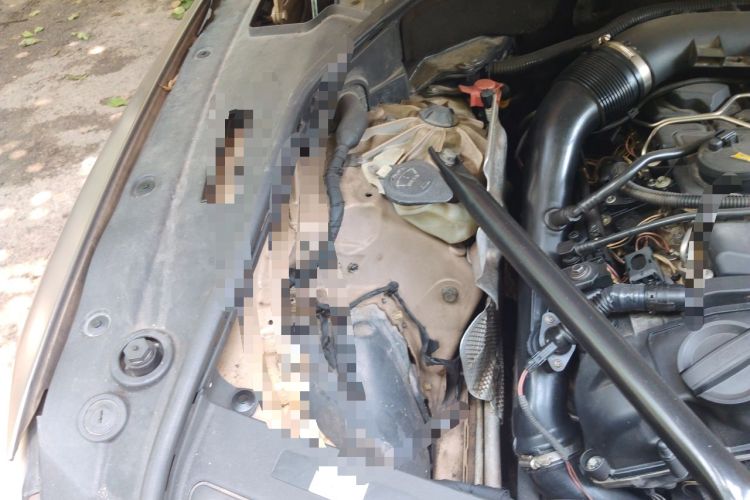Used BMW 5 Series GT 2010 535i Luxury Edition Engine Bay Right