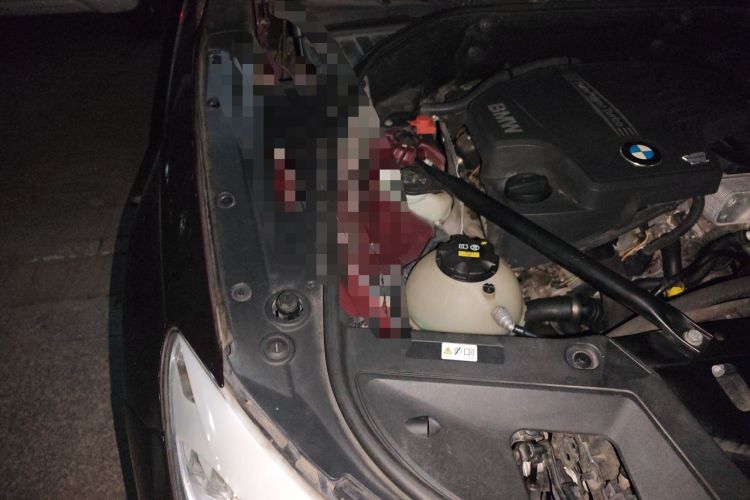 Used BMW 5 Series GT 2014 528i Leading Model Engine Bay Right