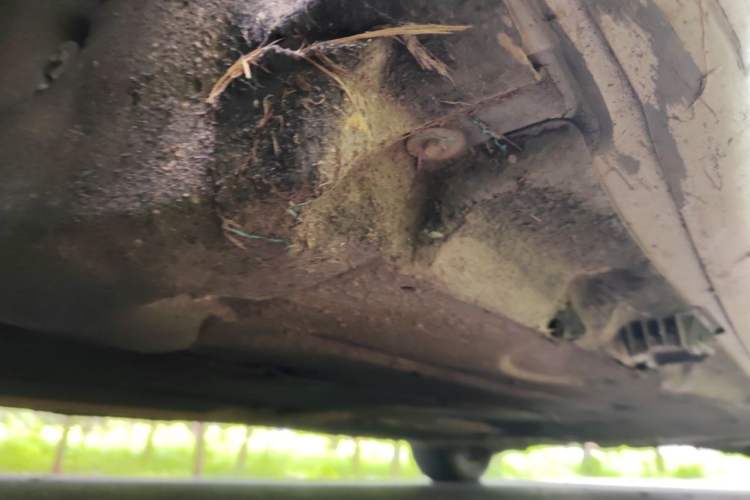 Used BMW 5 Series GT 2014 528i Leading Model Chassis Front Left