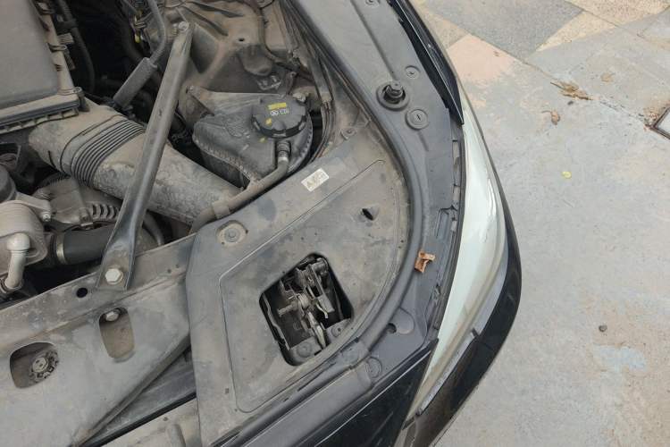 Used BMW 5 Series GT 2015 535i Leading Model Engine Bay Left
