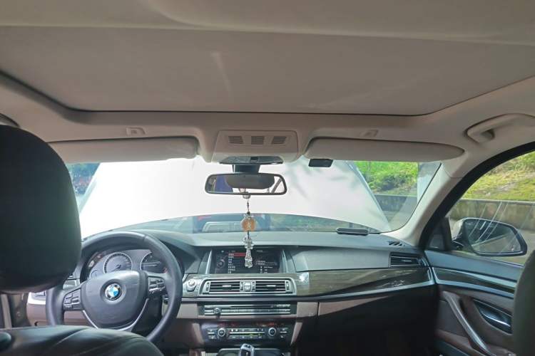 Used BMW 5 Series New Energy 2015 530Le Headliner