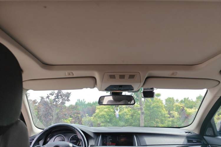Used BMW 5 Series New Energy 2015 530Le Headliner