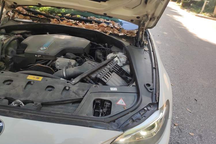 Used BMW 5 Series New Energy 2015 530Le Engine Bay Left