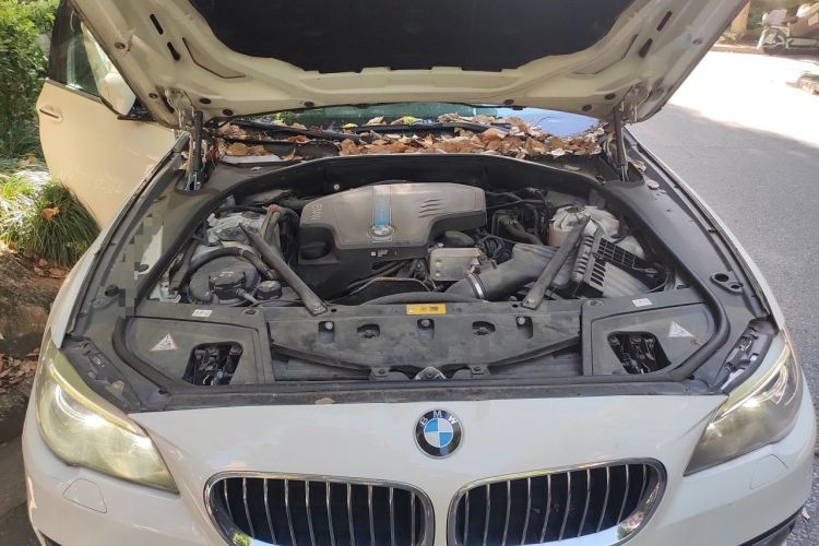 Used BMW 5 Series New Energy 2015 530Le Engine Bay