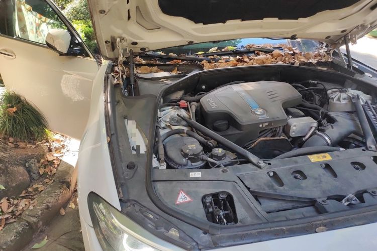 Used BMW 5 Series New Energy 2015 530Le Engine Bay Right