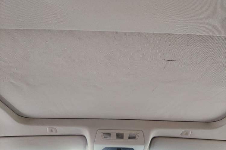 Used BMW 5 Series New Energy 2015 530Le Headliner