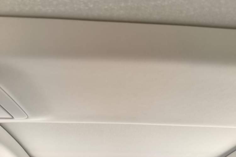 Used BMW 5 Series New Energy  Headliner