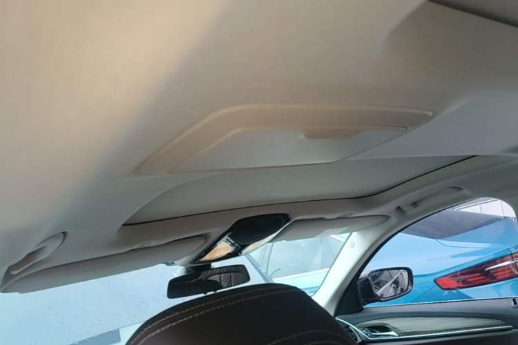 Used BMW 5 Series New Energy 2018 530Le Luxury Package Headliner
