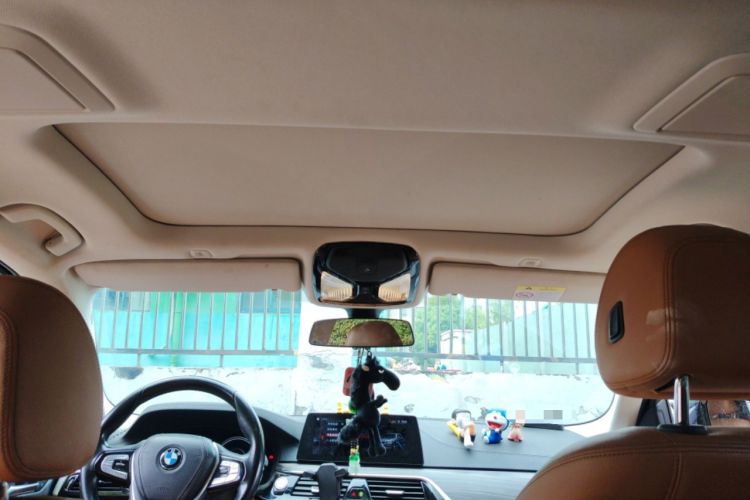 Used BMW 5 Series New Energy 2018 530Le Luxury Package Headliner