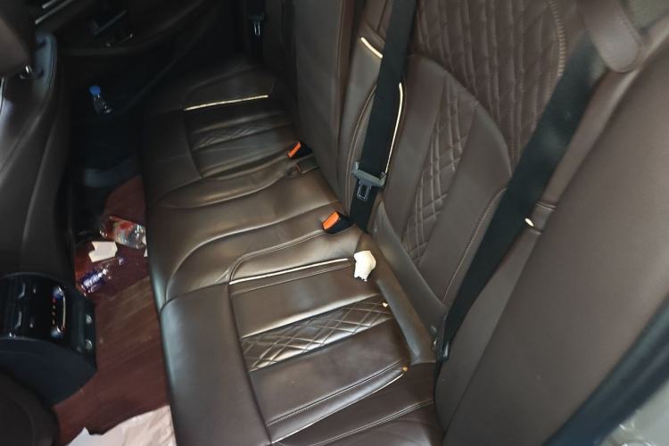 Used BMW 5 Series New Energy 2018 530Le Luxury Package Left Rear Seat