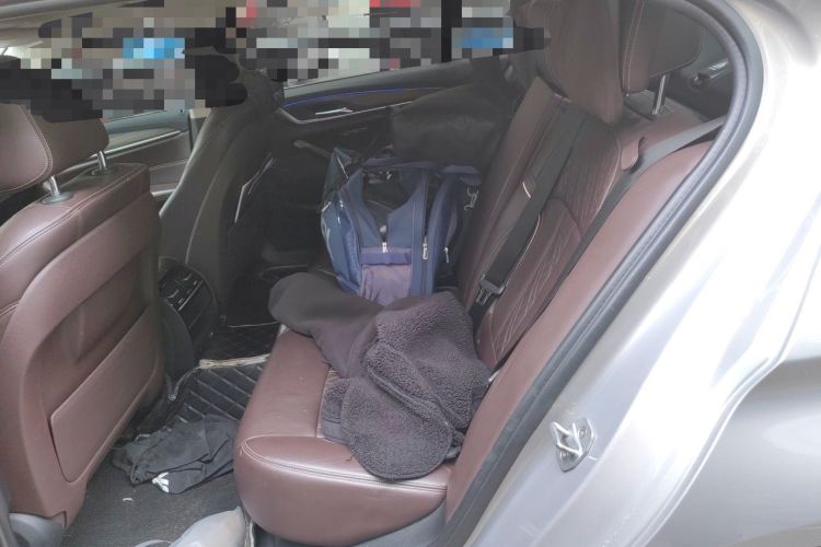 Used BMW 5 Series New Energy 2018 530Le Luxury Package Left Rear Seat
