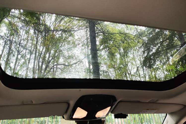 Used BMW 5 Series New Energy 2018 530Le Luxury Package Headliner