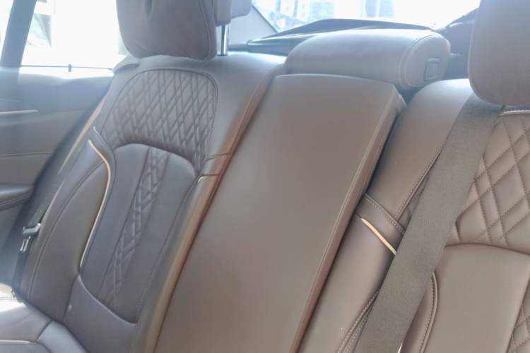 Used BMW 5 Series New Energy 2018 530Le Luxury Package Left Rear Seat