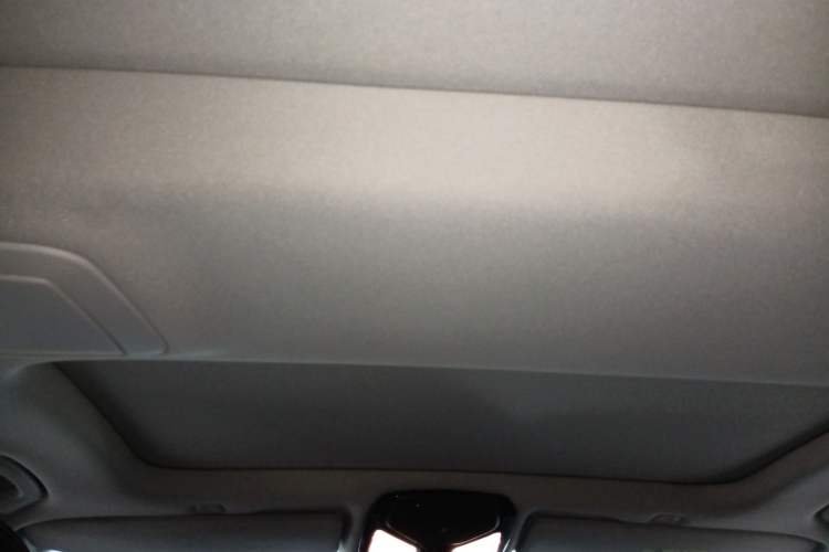 Used BMW 5 Series New Energy 2018 530Le Luxury Package Headliner