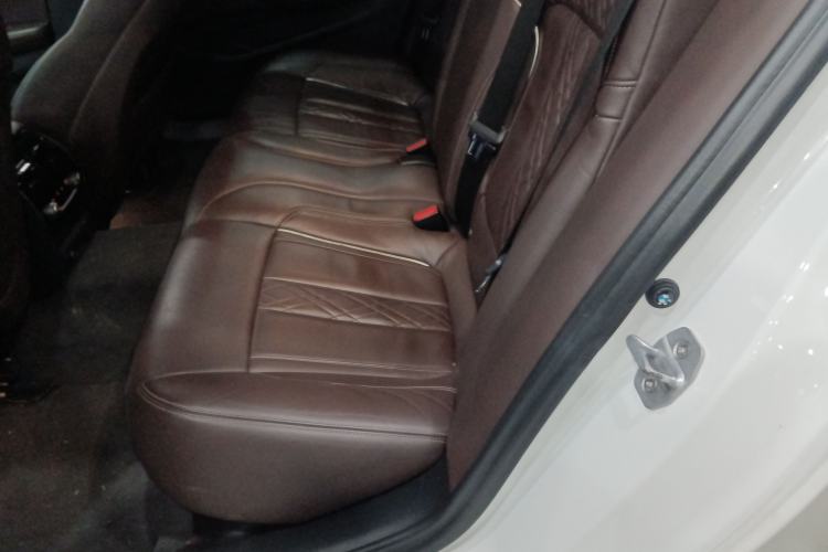 Used BMW 5 Series New Energy 2018 530Le Luxury Package Left Rear Seat