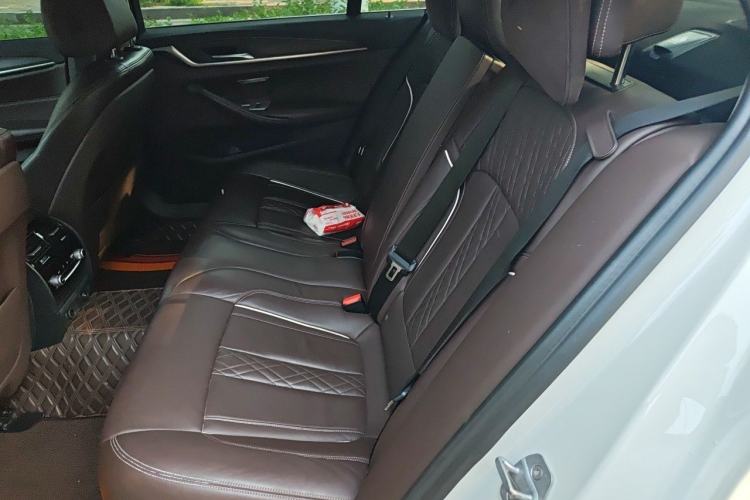 Used BMW 5 Series New Energy 2018 530Le Luxury Package Left Rear Seat