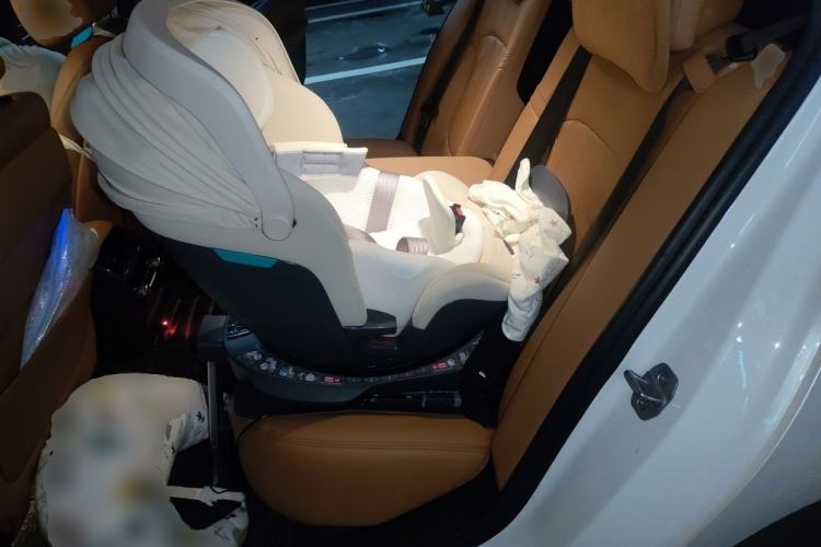 Used BMW 5 Series New Energy 2018 530Le Luxury Package Left Rear Seat