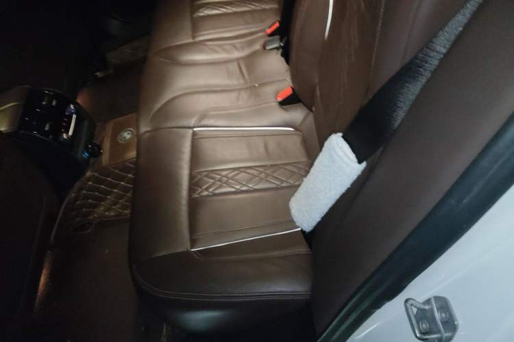 Used BMW 5 Series New Energy 2018 530Le Luxury Package Left Rear Seat