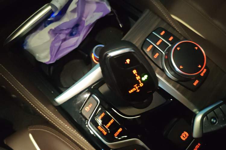 Used BMW 5 Series New Energy 2018 530Le Luxury Package Gear Lever