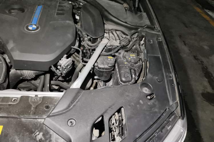 Used BMW 5 Series New Energy 2019 Updated 530Le Pioneer Edition Engine Bay Left