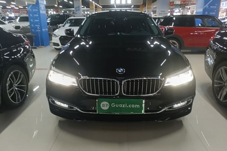 Used BMW 5 Series New Energy 2019 530Le Luxury Package Front