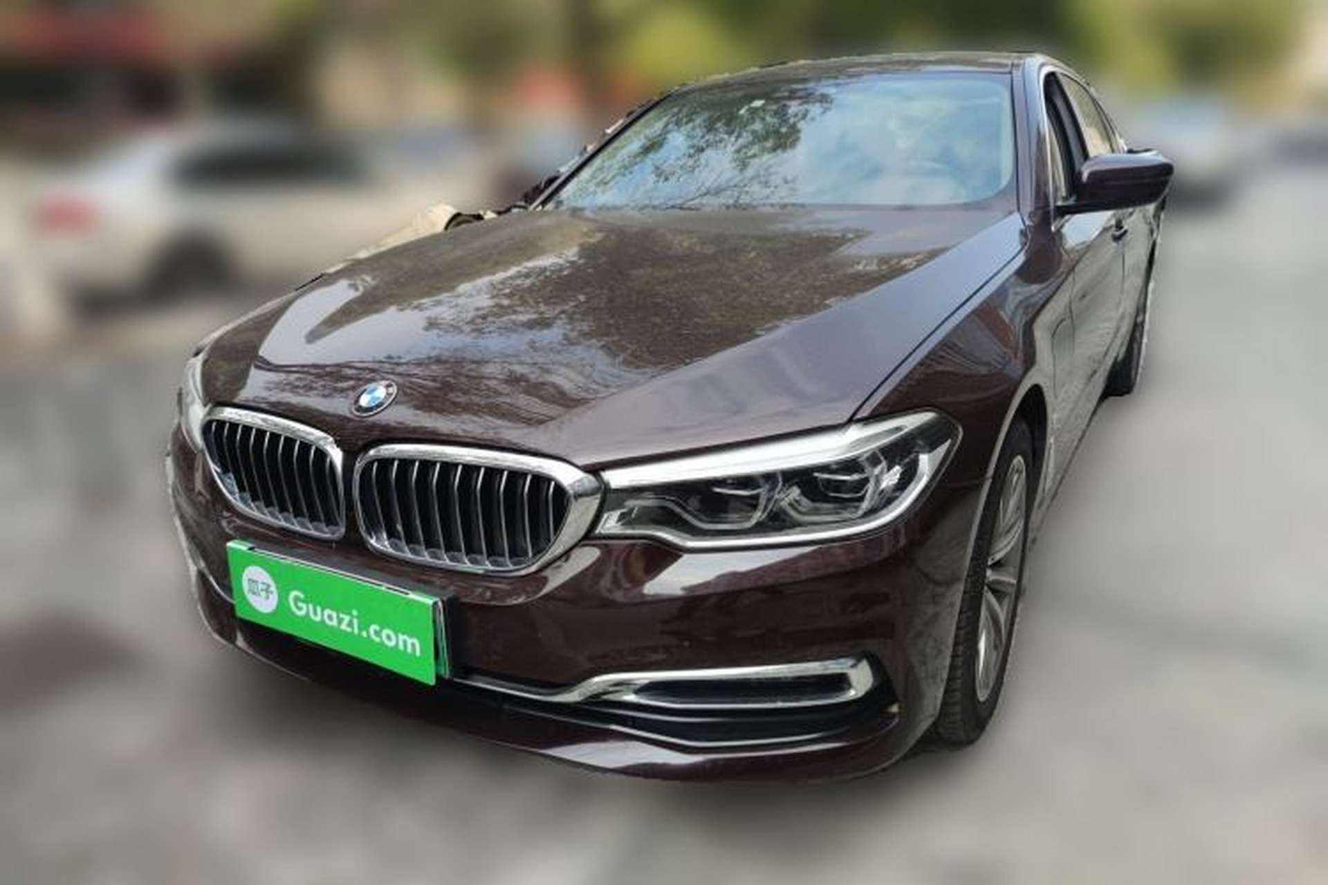 Used BMW 5 Series New Energy 2019 530Le Luxury Package Front Left 45 Deg