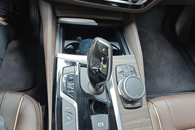 Used BMW 5 Series New Energy 2019 530Le Luxury Package Gear Lever