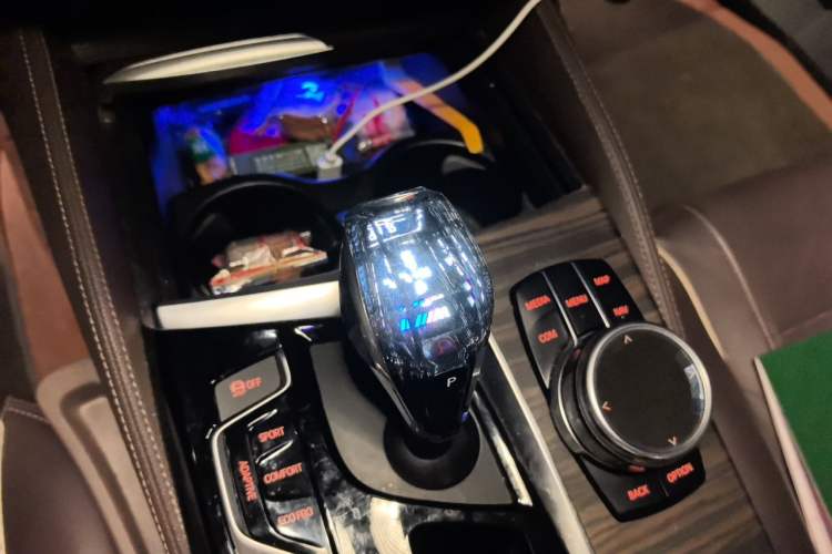 Used BMW 5 Series New Energy 2019 530Le Luxury Package Gear Lever
