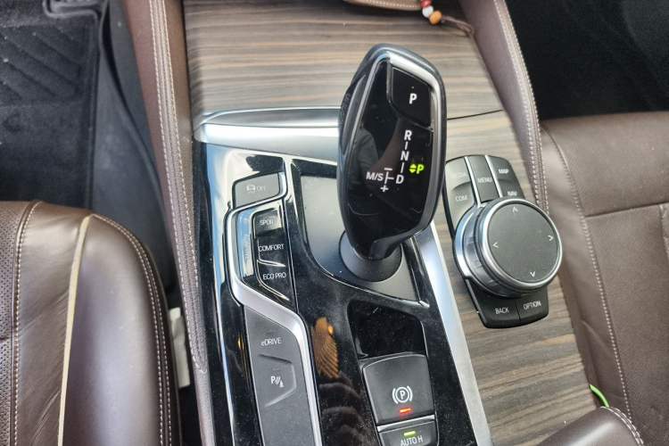 Used BMW 5 Series New Energy 2019 530Le Luxury Package Gear Lever