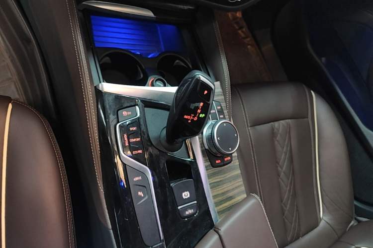 Used BMW 5 Series New Energy 2019 Updated Version 530Le Luxury Package Gear Lever