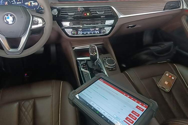 Used BMW 5 Series New Energy 2019 530Le Luxury Package Gear Lever