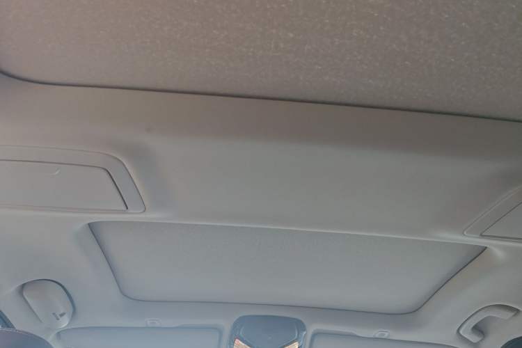 Used BMW 5 Series New Energy 2019 530Le Luxury Package Headliner