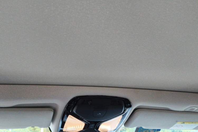 Used BMW 5 Series New Energy 2019 530Le Luxury Package Headliner