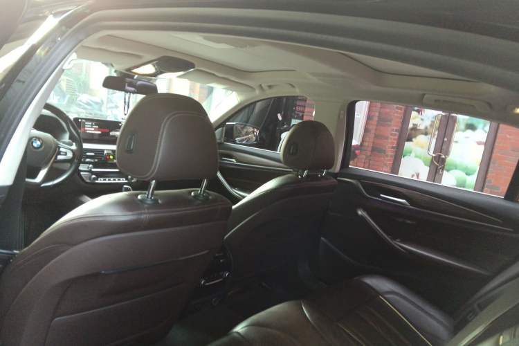 Used BMW 5 Series New Energy 2019 530Le Luxury Package Headliner