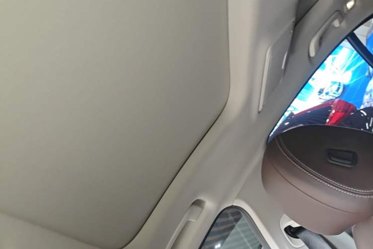 Used BMW 5 Series New Energy 2019 530Le Luxury Package Headliner