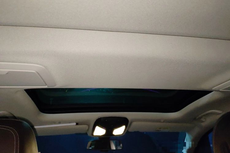 Used BMW 5 Series New Energy 2019 530Le Luxury Package Headliner