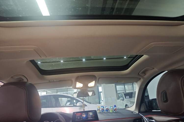 Used BMW 5 Series New Energy 2019 530Le Luxury Package Headliner