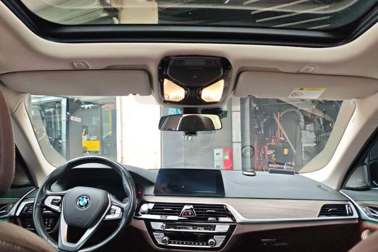 Used BMW 5 Series New Energy 2019 530Le Pioneer Edition Headliner