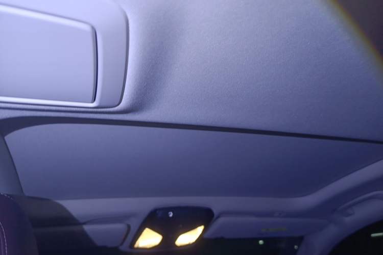 Used BMW 5 Series New Energy 2019 530Le Luxury Package Headliner