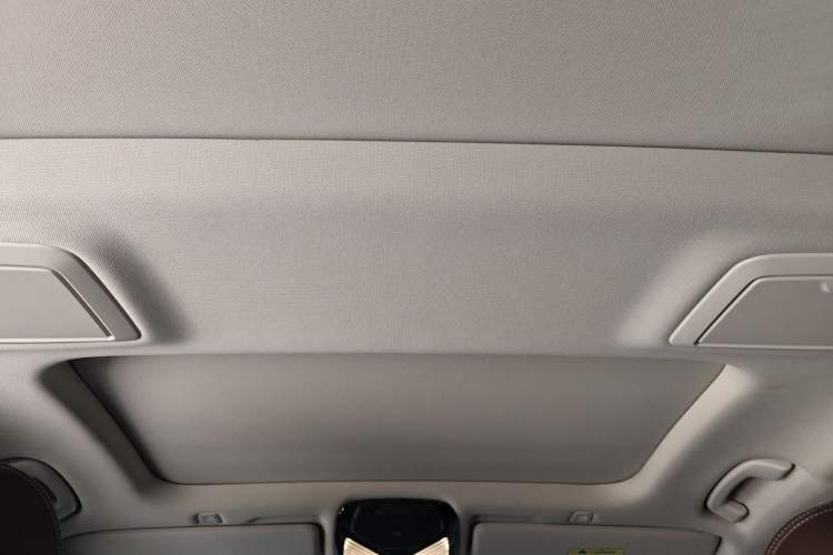 Used BMW 5 Series New Energy 2019 530Le Luxury Package Headliner