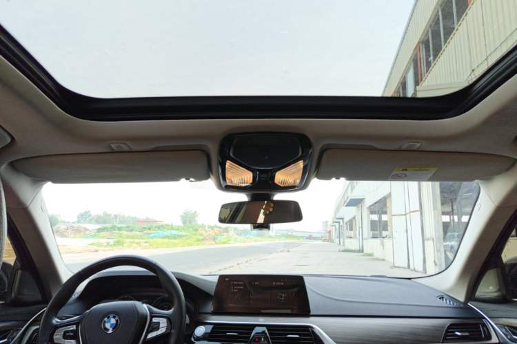 Used BMW 5 Series New Energy 2019 530Le Luxury Package Headliner