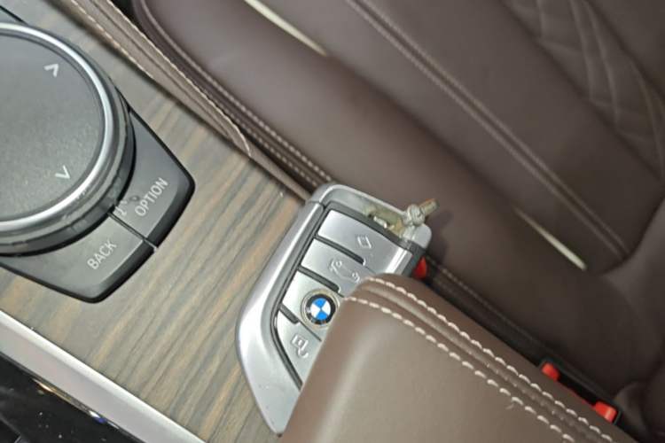 Used BMW 5 Series New Energy 2019 530Le Luxury Package Interior 1