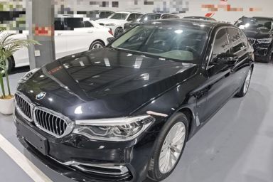 Used BMW 5 Series New Energy 2019 Updated Version 530Le Luxury Package