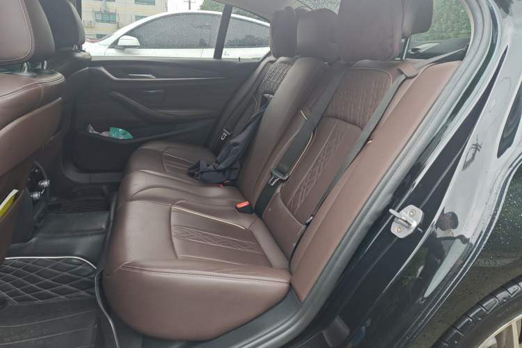Used BMW 5 Series New Energy 2019 530Le Luxury Package Left Rear Seat