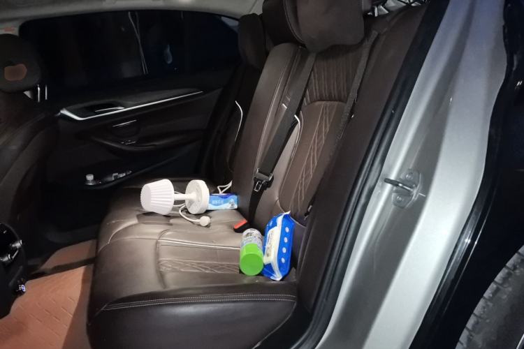 Used BMW 5 Series New Energy 2019 530Le Luxury Package Left Rear Seat