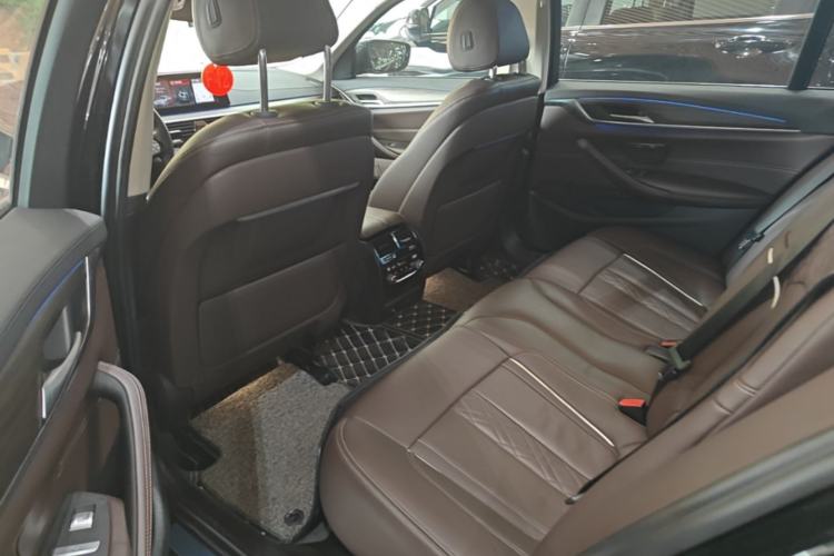 Used BMW 5 Series New Energy 2019 530Le Luxury Package Left Rear Seat