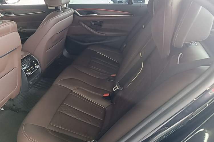Used BMW 5 Series New Energy 2019 530Le Luxury Package Left Rear Seat